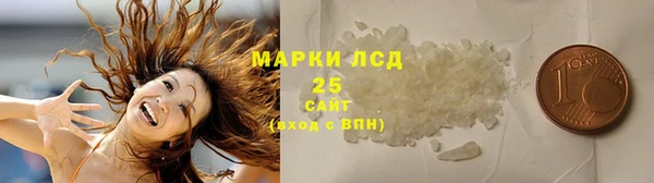 дурь Вяземский