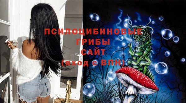 спиды Вязьма