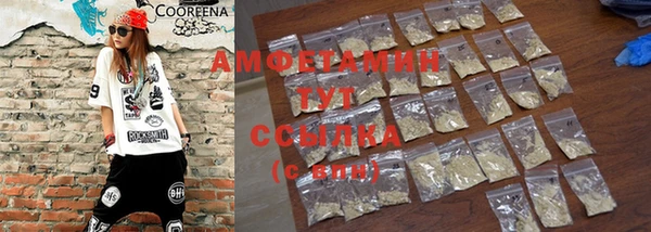 шишки Горнозаводск