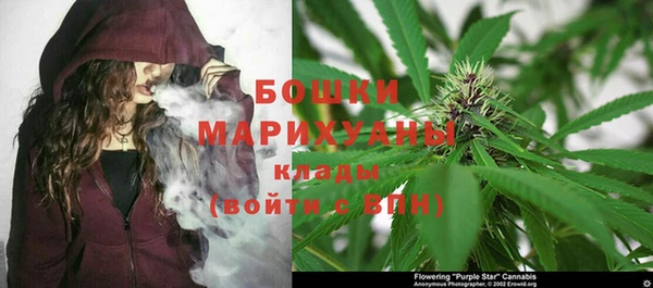 дурь Вяземский