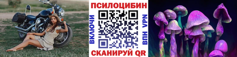Галлюциногенные грибы Psilocybine cubensis  Мезень 